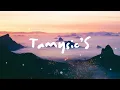 Martin Garrix ft. Macklemore & Patrick Stump - Summer Days (Vintage Culture & Bruno Be Extended Mix)
