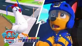 Follow the Footprints! Chase Tracks Down Chickaletta! 🎈 | Full Episodes | PAW Patrol
