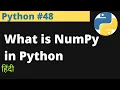Python What is NumPy in Python Hindi EasyExamNotes com Jayesh Umre