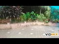 Liyana II Lumana II Dance II Oh na na