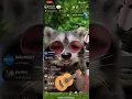 Jose bae TikTok live thankful for all he s been able to to hopes to achieve more in the future