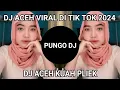 Lagu DJ ACEH VIRAL DI TIK TOK 2024,DJ ACEH KUAH PLIEK FULL BASS