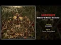 Download Lagu Asphyxiate (INA) - Anatomy of Perfect Bestiality (Full Album) 2009