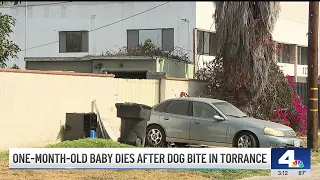 1-month-old dies after being bitten by dog at Torrance home
