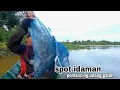 Download Lagu Kewalahan di buatnya! setengah hari mancing dapat berkilo kilo udang galah di pinggiran kampung