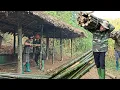 Download Lagu full video:120 days of building a house with bamboo by hand. the journey from start to finish