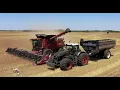 Lagu 2020 WHEAT HARVEST with WALTER FARMS \u0026 HARVESTING