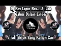 Download Lagu DJ BOS LAPOR BOS IKAN GABUS DALAM EMBER || DJ GARAM CINA VIRAL TIKTOK TERBARU 2025 !!