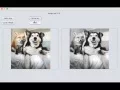 ImageLab JAVA application Greyscale and Sobel edge detection