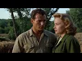 Download Lagu The Green Promise (1949) | Inspiring Drama of Family, Growth, and Determination