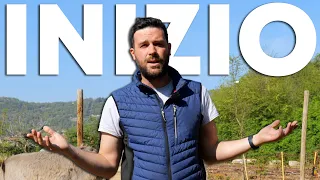 Ho APERTO la mia prima AZIENDA AGRICOLA 🧑‍🌾🧑‍🌾🧑‍🌾