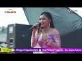 Download Lagu Cinta Rahasia - Anna Rista | New Pallapa TPI Mojo Pemalang 2022
