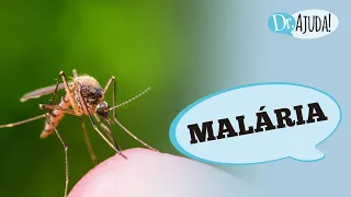 MALÁRIA : O QUE É ? SINTOMAS E COMO EVITAR ?