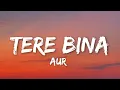 Tere Bina - AUR