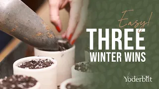 Stop Guessing 3 Easiest Seeds to Plant This Winter