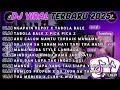 Lagu DJ TIKTOK TERBARU 2025- 🎵DJ NGAPAIN REPOT X TABOLA BALE🎵DJ TABOLA BALE X PICA PICA 2