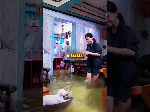 She Saved Her Puppy🥺❤️