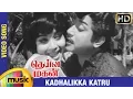 Lagu Deiva Magan Tamil Movie Songs HD | Kadhalikka Katru Video Song | Sivaji Ganesan | Jayalalitha