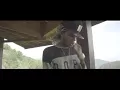 Alkaline-company