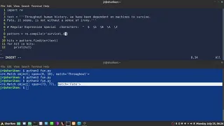 33 - Python Regular Expressions Part 4