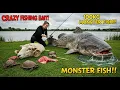 Download Lagu Unbelievable! CRAZY Bait Lands a 100KG Monster Fish 🎣🐟