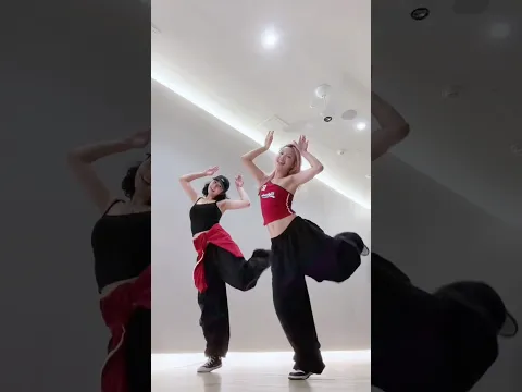 “ICONIC BG MISTAKE” Dance Cover w/@deniseksays