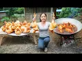 Download Lagu Harvesting 1000 Egyptian Chicken Sell At The Market | Cook Whole Fried Chicken | Emma-Free Bushcraft