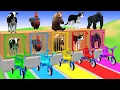 Download Lagu Long Slide Game with Cow Elephant Gorilla Hippopotamus Tiger 3d Animal Game Funny 3d Animals