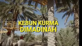 Download LIBUR DAN JALAN JALAN DIKEBON KORMA MADINAH 🇸🇦 MP3