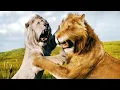 Download Lagu Mufasa Saves Eshe Scene | MUFASA: THE LION KING (2024) Movie CLIP HD