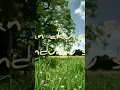 Download Lagu Gugurnya bunga cinta -LAKSAMANA Slowrock Malaysia terbaik , ibnu channel76