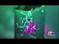 RI public schools closed next week 9 new coronavirus cases identified
