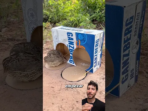 Trampa de cartón para aves: ¡Funciona en segundos!