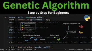 Build a Self-Evolving Genetic Algorithm in Python Step-by-Step Beginner Tutorial