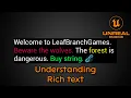 Understanding Rich - Unreal Engine 5 Beginner tutorial