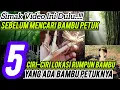 Download Lagu Pahami ini dulu..!!! 5 Ciri-ciri lokasi rumpun bambu yang ada bambu petuknya