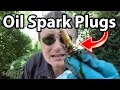 How to Fix Oil on Spark Plugs Valve Cover Gasket and Tubes