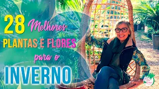 As 28 MELHORES plantas e flores para o INVERNO! | Flávia Kremer