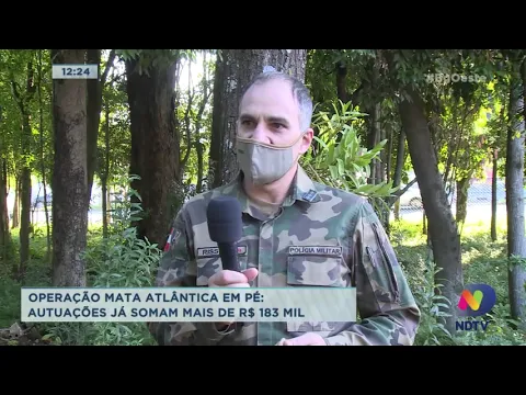 Operação Mata Atlântica em Pé: autuações já somam mais de R$ 183 mil