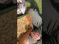 Separating wheat from chaff