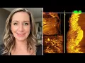 Download Lagu Nicola Bulley - Schokkende nieuwe sonarbeelden vrijgegeven door Peter Faulding