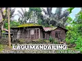 Download Lagu Raund raund ke puncak sorik marapi | lagu Tapsel | namalang di au | malungun boti bimbang
