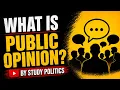 What is Public Opinion