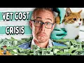 Dealing with the rising cost of vet care