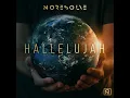 Hallelujah - No Resolve