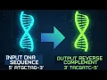 How to Generate Reverse Complement DNA Sequences Bioinformatics Tutorial