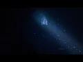 Blackwater Dive - Gulfstream