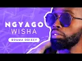 Lagu Ngyagowisha Lyrics - Drama Drizzy