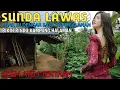 Download Lagu LAGU POP SUNDA LAWAS TOP HITS 2025 KATINEUNG ALBUM NGARASA JAUH PANINEUNGAN TEMAN NGOPI