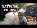 Exploring Sumter National Forest Andrew Pickens Ranger District